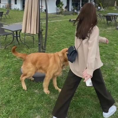 恋爱十诫