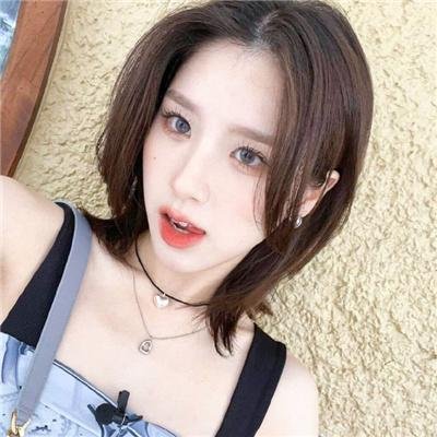 我的家人和其他动物